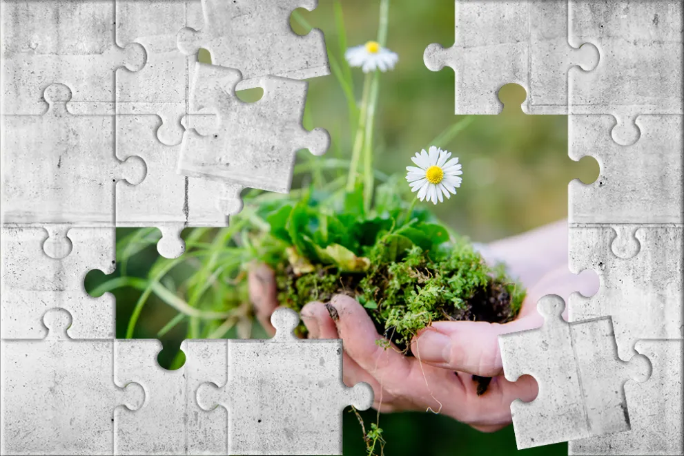 Gänseblümchen Hand Puzzle